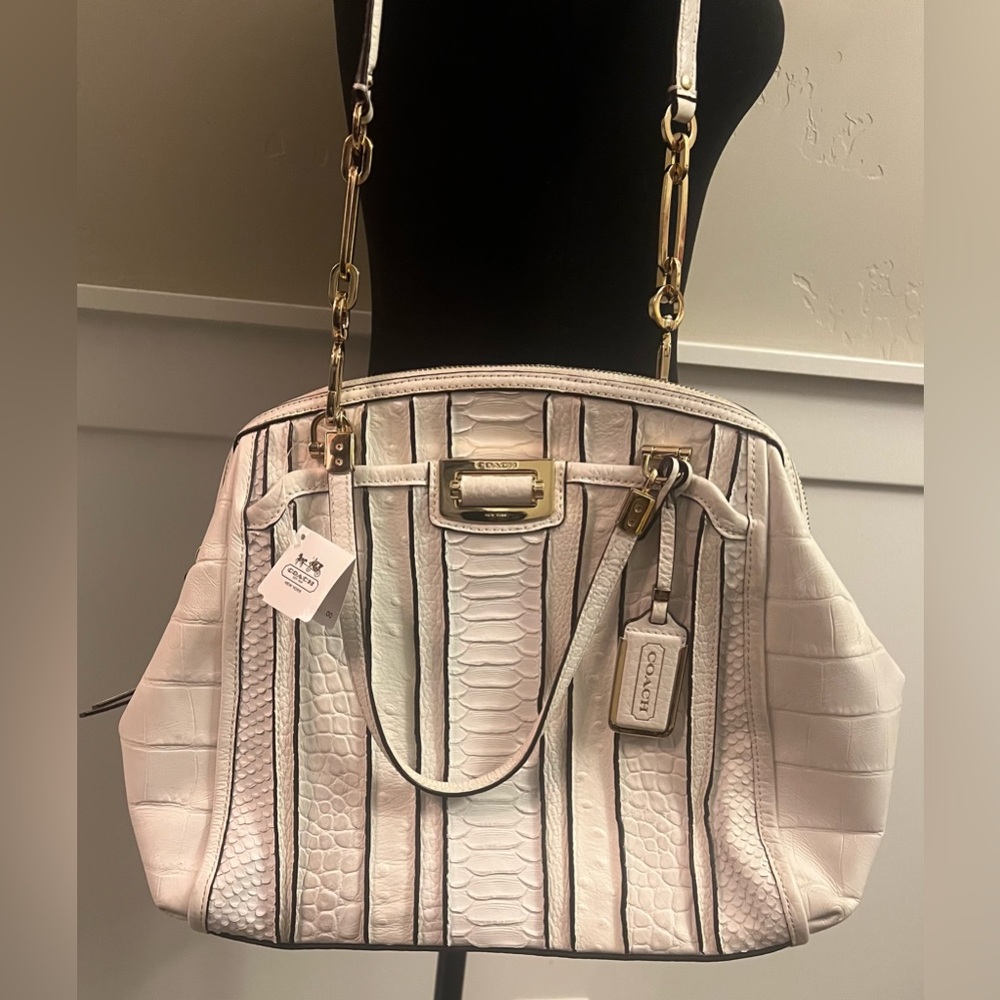 Rare Find- NWT Coach Madison Domed Satchel in Exotic Stripe Leather - Picture 3 of 13